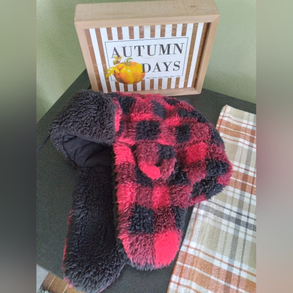 Baby Gap Toddler Winter Hat